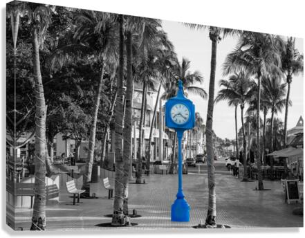 Times Square FMB Canvas Print