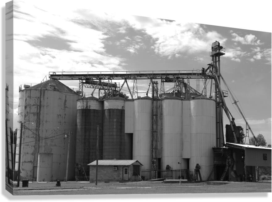 Factory  Canvas Print