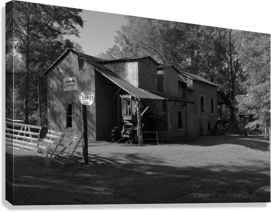 Cotton Gin. Canvas Print