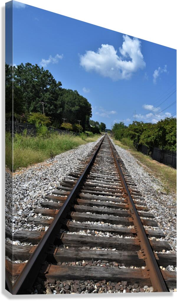 Making Tracks. Canvas Print