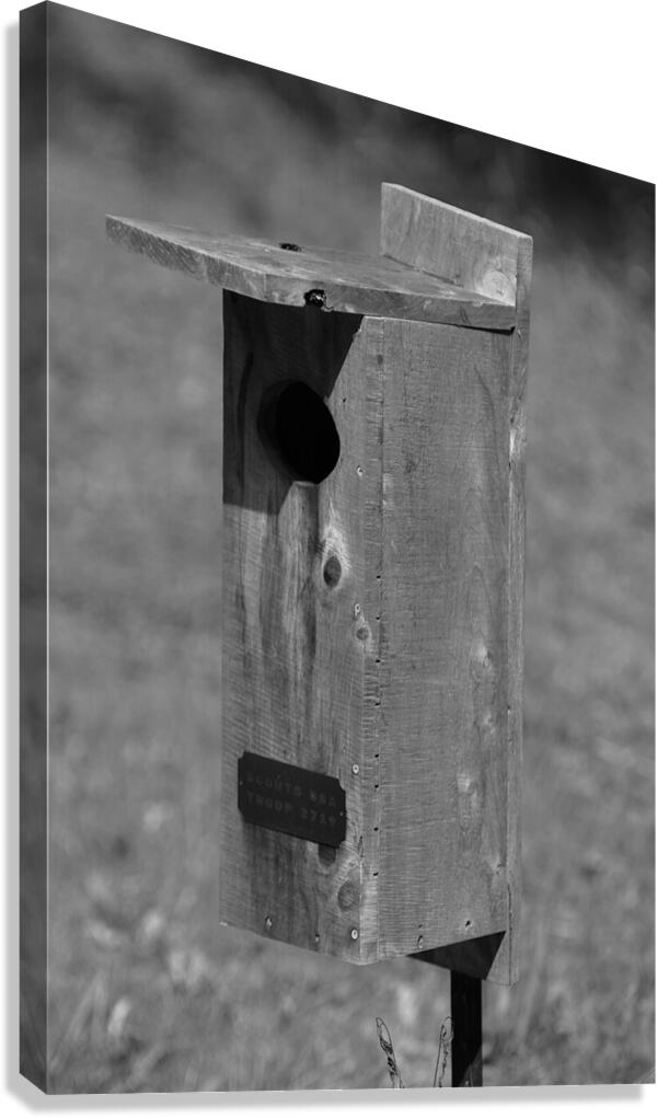 Birdhouse Canvas Print