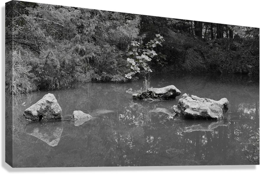Rock reflections. Canvas Print