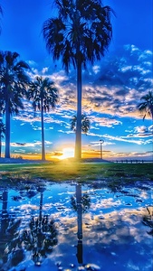 Golden Sunset Reflection – Tropical Palm Trees and Tranquil Waters