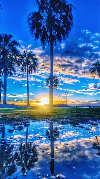 Golden Sunset Reflection – Tropical Palm Trees and Tranquil Waters Print