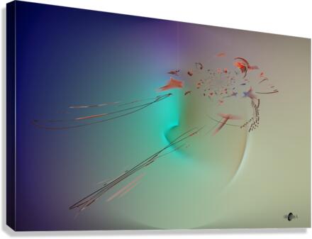 Abstrait 43 Canvas Print