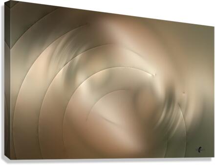 Abstrait 41 Canvas Print