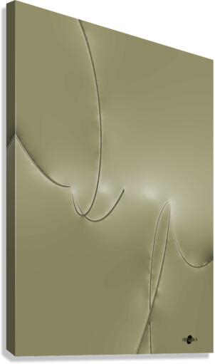 Abstrait 32 Canvas Print