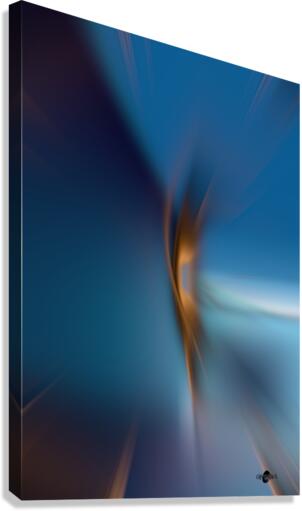 Abstrait 11 Canvas Print