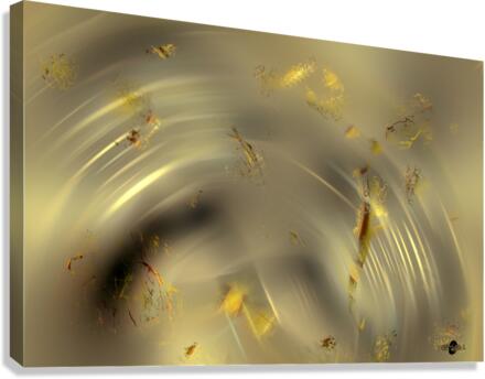 Abstraii 39 Canvas Print