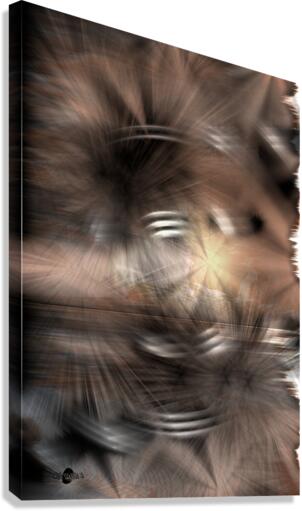 Abstrait 53 Canvas Print