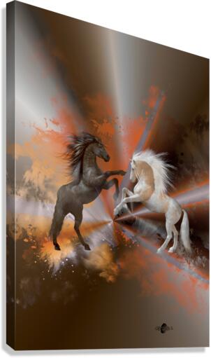 Horses Canvas Print