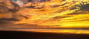 IMG 20241020 185121 22