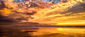 IMG 20241020 185121 8