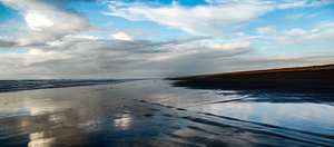 IMG 20241111 160225786 HDR