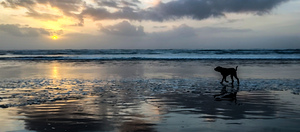 IMG 20241104 163946232 HDR