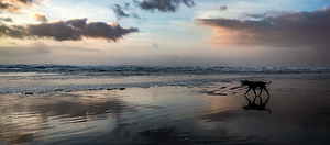 IMG 20241104 163750509 HDR