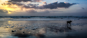 IMG 20241104 163836584 HDR