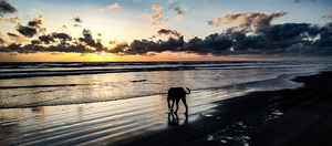 12 IMG 20240519 202610358 HDR