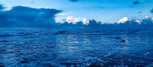 13 IMG 20240202 170215309 MF PORTRAIT