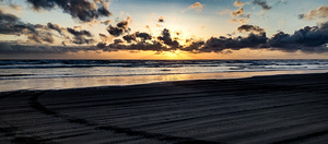 14 IMG 20240519 202539934 HDR