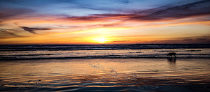 31 IMG 20240314 192855323