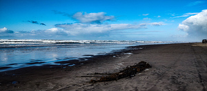 IMG 20241115 115636579