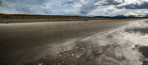 IMG 20250203 125909338 HDR