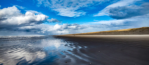 IMG 20250203 130351106 HDR