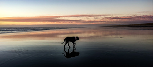 IMG 20241005 184817051 HDR