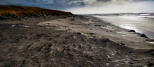 IMG 20241120 141744573 HDR