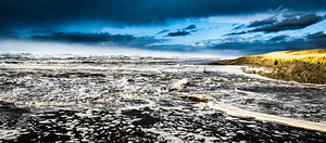 IMG 20241120 141714039 HDR