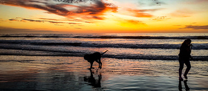 IMG 20241011 184333319 HDR