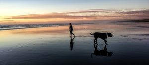 IMG 20241005 184516647 HDR 1