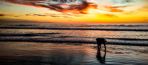 IMG 20241011 184312904 HDR