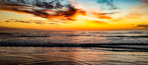 IMG 20241011 184210104 HDR