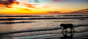 IMG 20241011 184412578 HDR