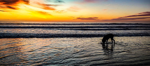 IMG 20241011 184259520 HDR