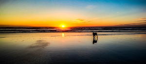 IMG 20241005 184415573 HDR