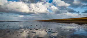 IMG 20241214 141459239 HDR