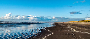 IMG 20241021 173155630