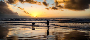 IMG 20241207 161703284 HDR