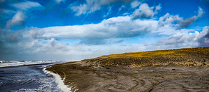 IMG 20230108 123925715 MP