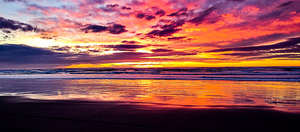 IMG 20230110 170455070 MP