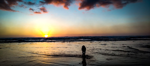 IMG 20230214 173727606 MP