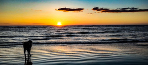 IMG 20230321 192556743 HDR