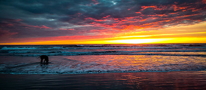 IMG 20230329 194445264