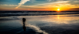 IMG 20230512 203136933 HDR