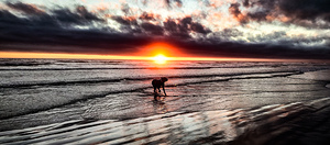 IMG 20230701 210454040 HDR