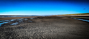 IMG 20230803 180253747 HDR