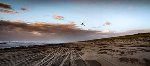 IMG 20231104 165913972